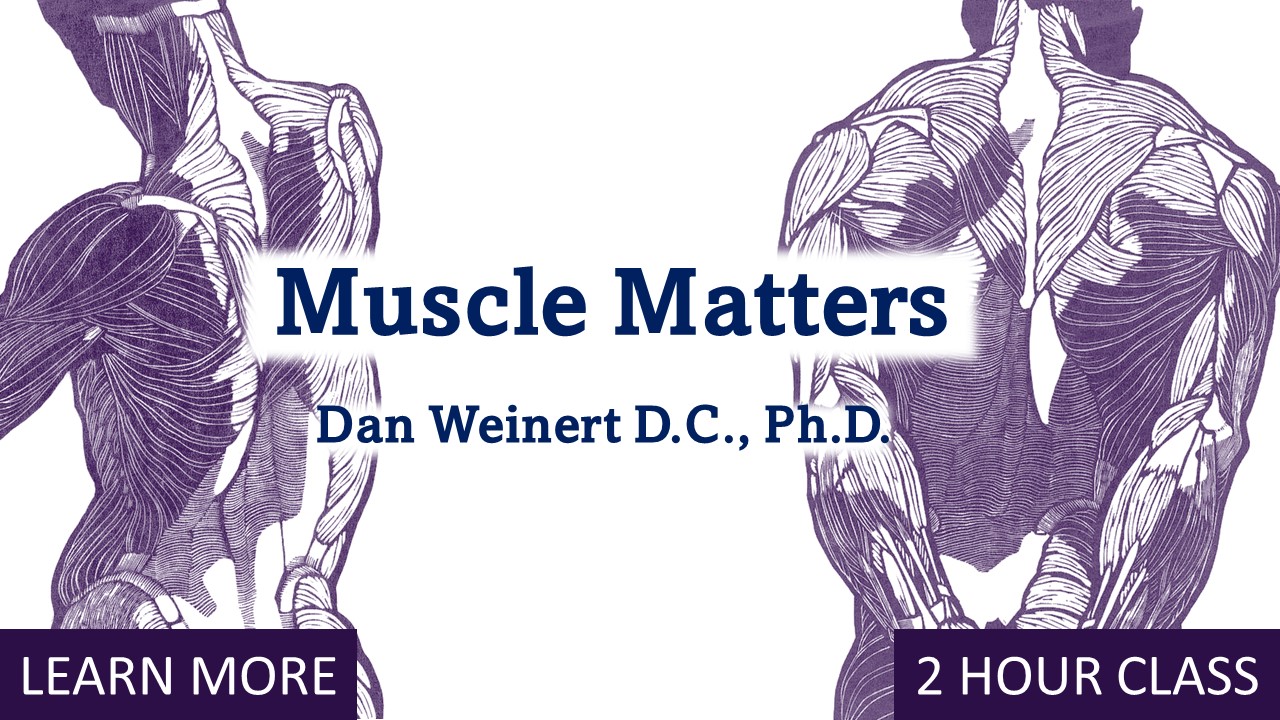 Muscle Matters
